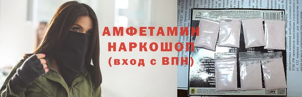 ГАЛЛЮЦИНОГЕННЫЕ ГРИБЫ Новозыбков