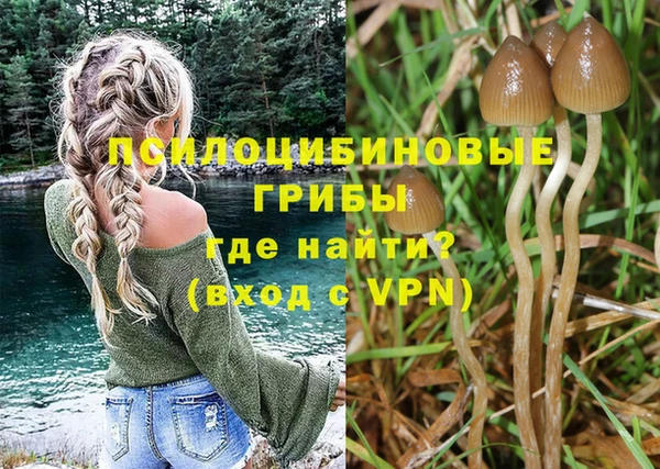 круглые Алзамай
